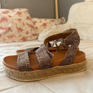 cheetah print strap shoes